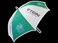 TEIN PARASOL