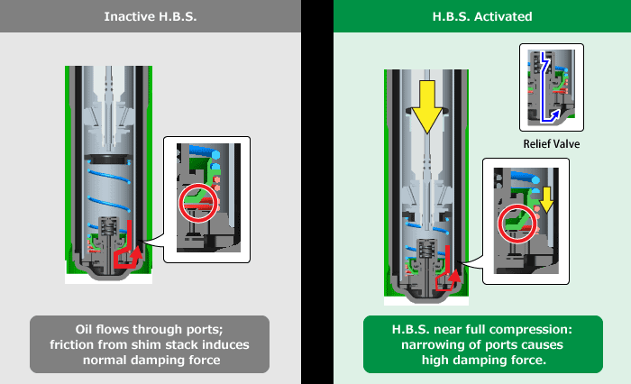 Inactive H.B.S./H.B.S. Activated