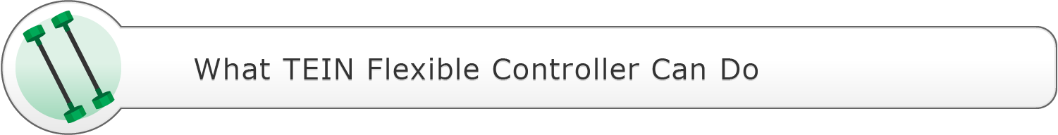 What TEIN Flexible Controller Can Do